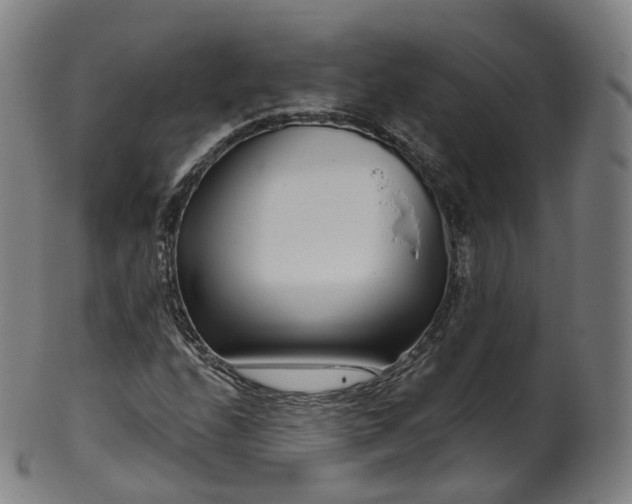 X0000099961208200806061558