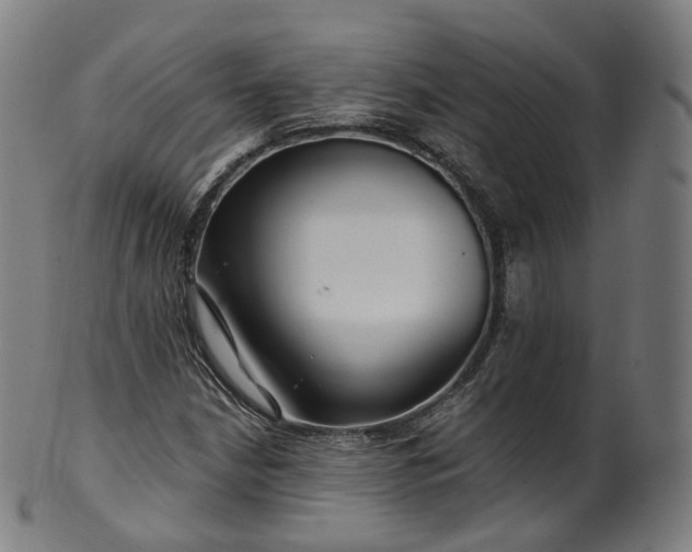 X0000099961210200806061558