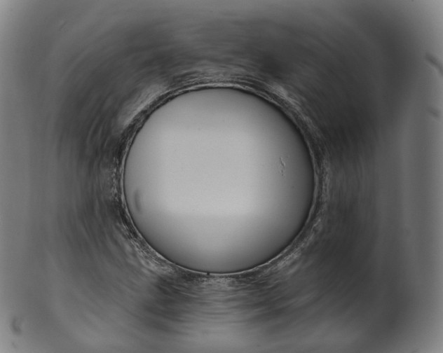 X0000099961211200806061558