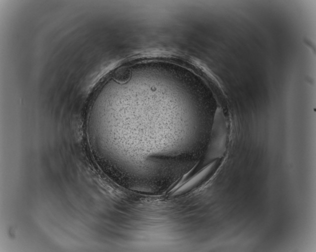 X0000099961213200806061558