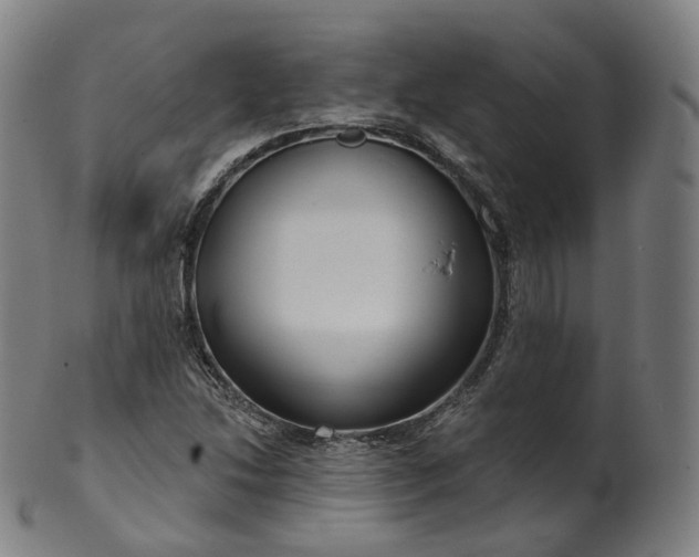 X0000099961214200806061558
