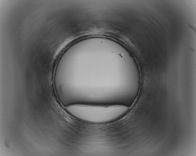 X0000099961216200806061558