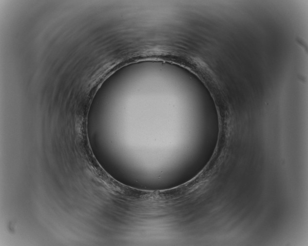 X0000099961217200806061558