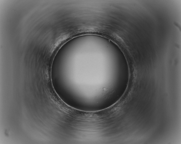 X0000099961218200806061558