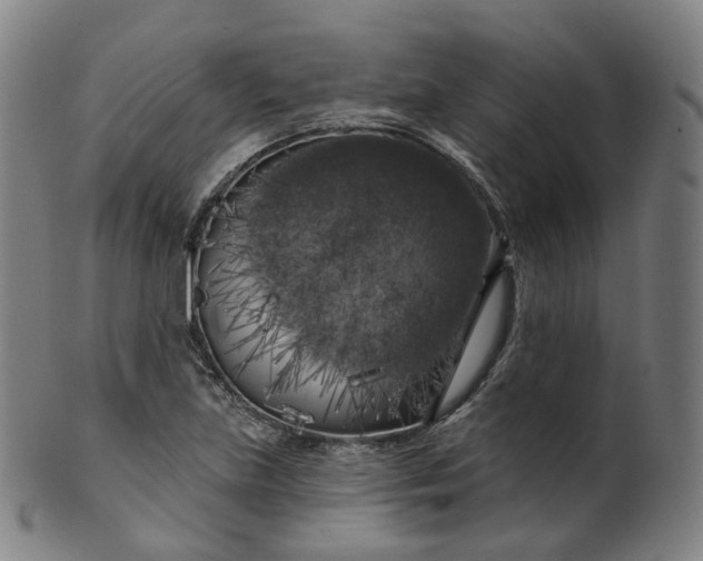 X0000099961219200806061558