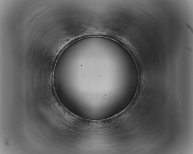 X0000099961220200806061558