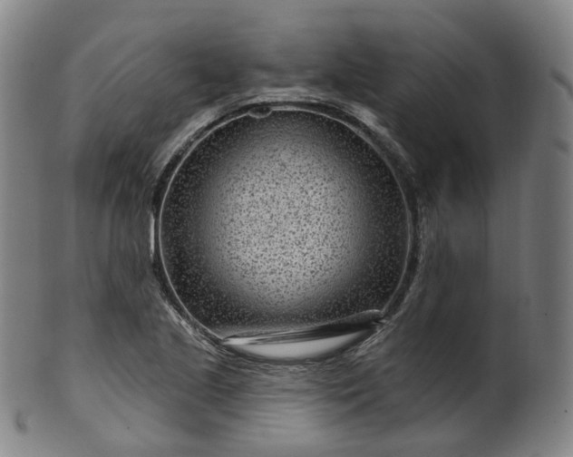 X0000099961221200806061558