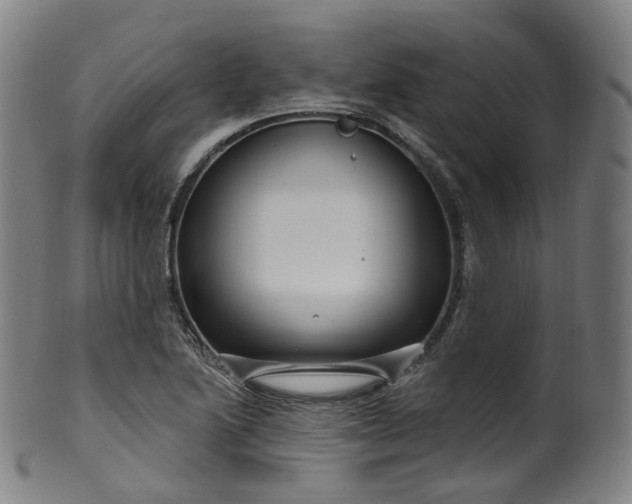 X0000099961222200806061558