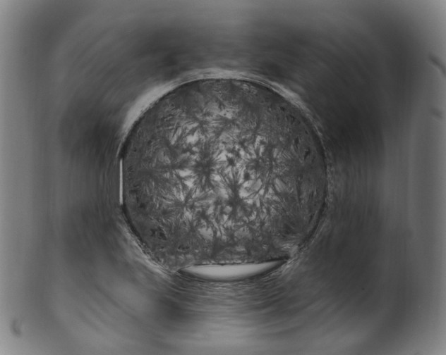 X0000099961223200806061558
