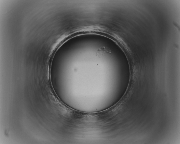 X0000099961224200806061558