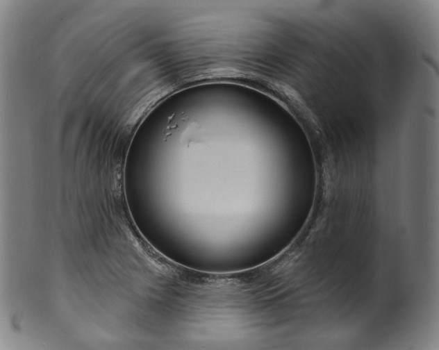 X0000099961225200806061558