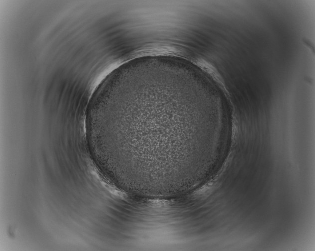 X0000099961226200806061558