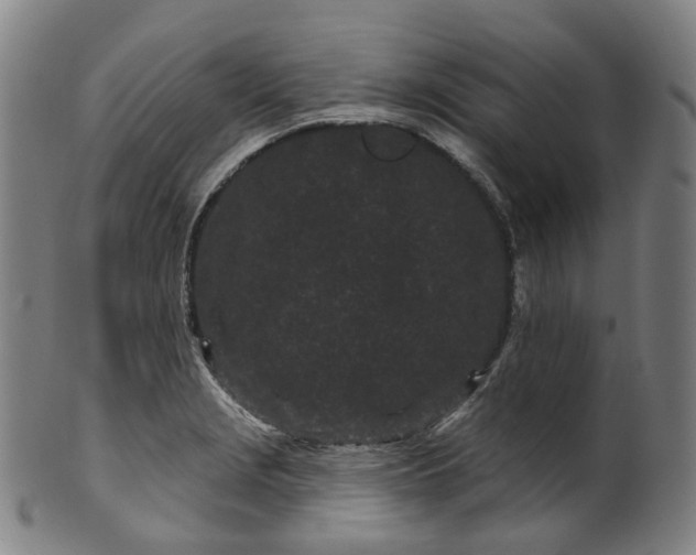 X0000099961229200806061558
