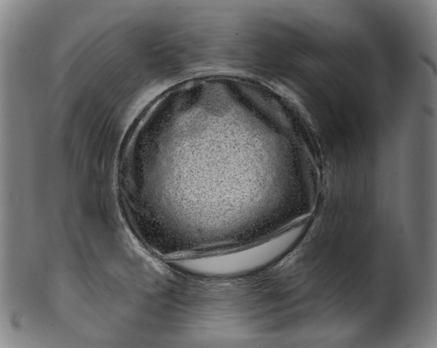 X0000099961231200806061558