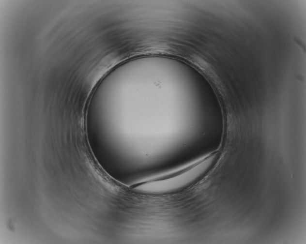 X0000099961234200806061558