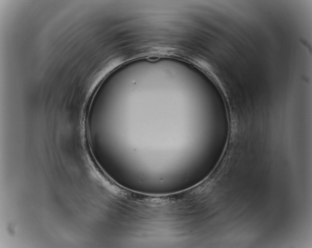 X0000099961235200806061558