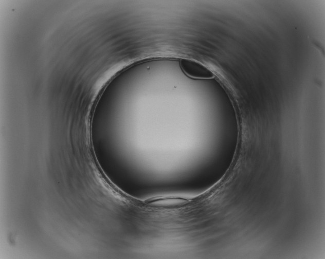 X0000099961238200806061558