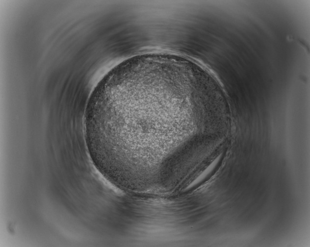 X0000099961239200806061558