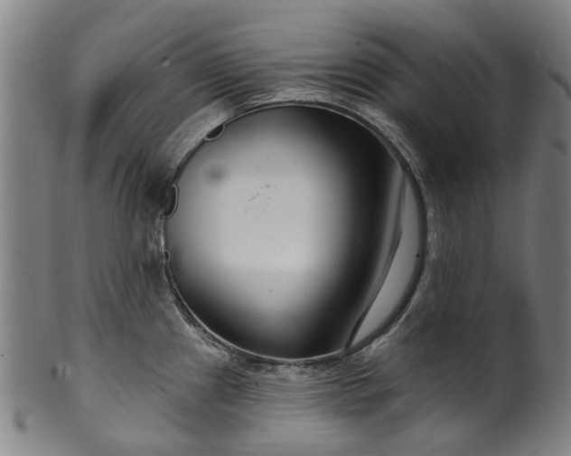 X0000099961241200806061558