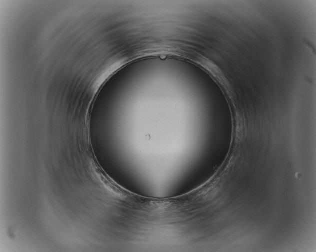 X0000099961242200806061558
