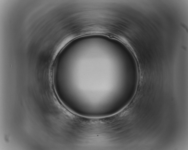 X0000099961243200806061558