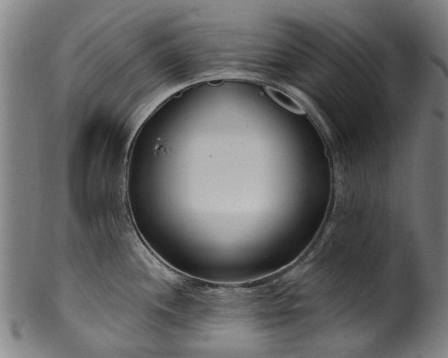 X0000099961244200806061558