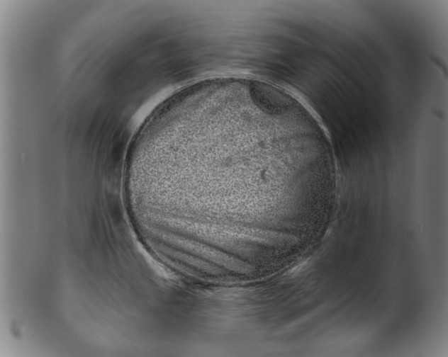 X0000099961245200806061558