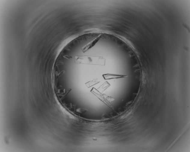 X0000099961247200806061558