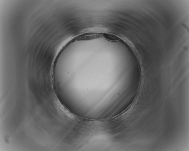 X0000099961248200806061558