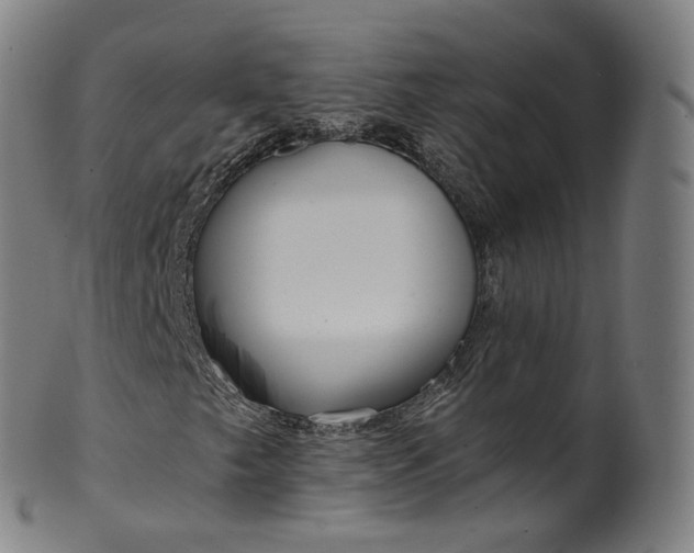 X0000099961249200806061558