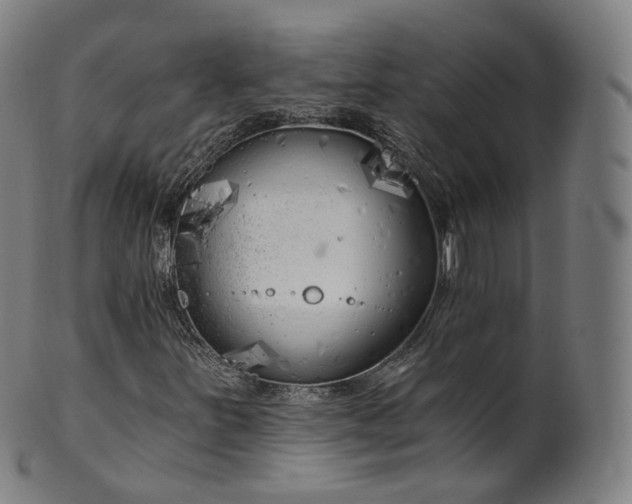 X0000099961251200806061558