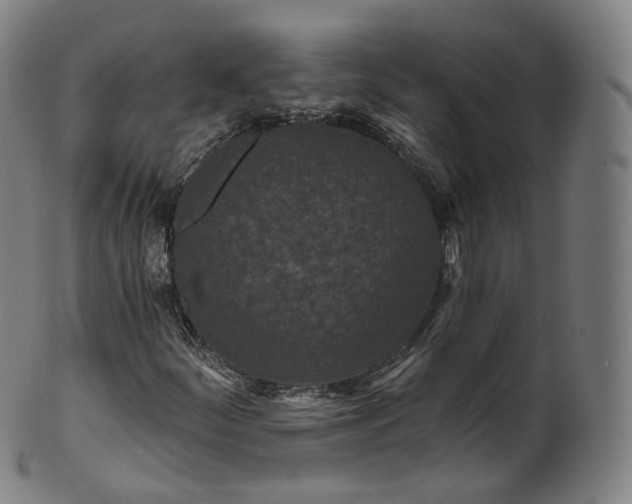 X0000099961252200806061558
