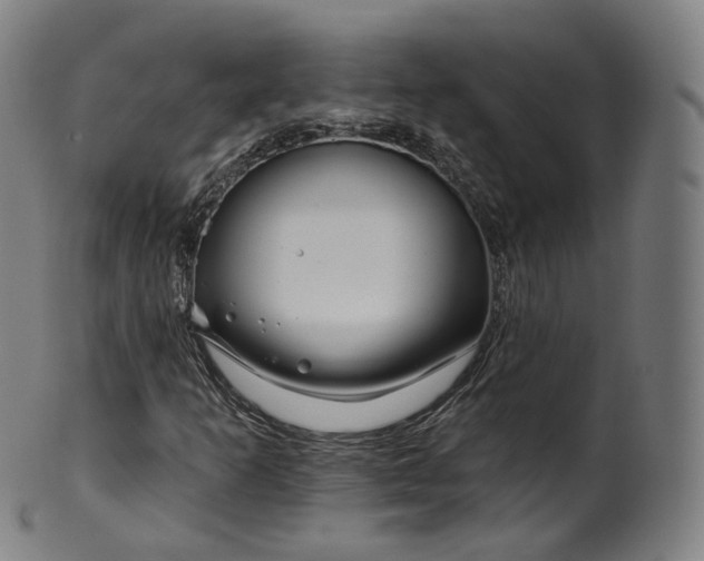 X0000099961253200806061558