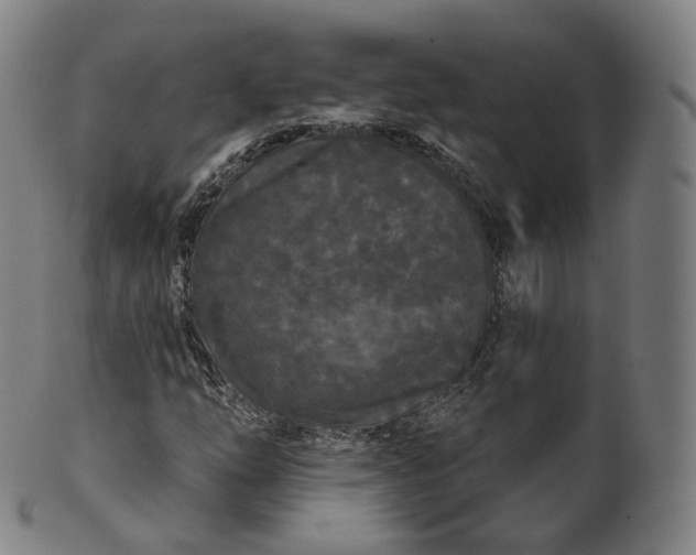 X0000099961254200806061558