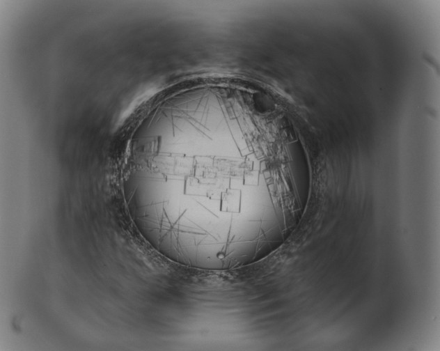 X0000099961255200806061557