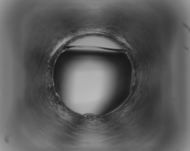 X0000099961256200806061557