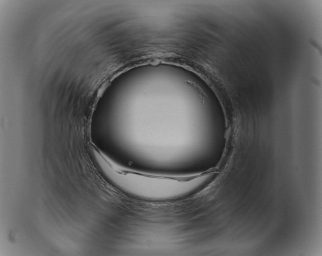 X0000099961257200806061557