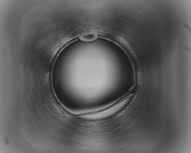 X0000099961260200806061557