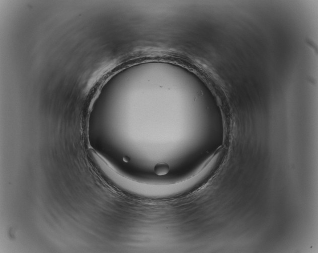 X0000099961261200806061557