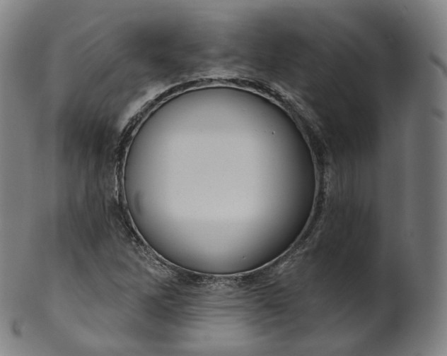 X0000099961262200806061557