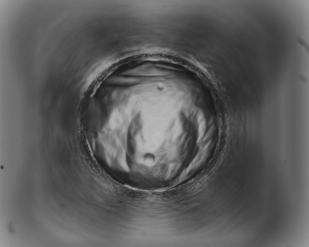 X0000099961263200806061557
