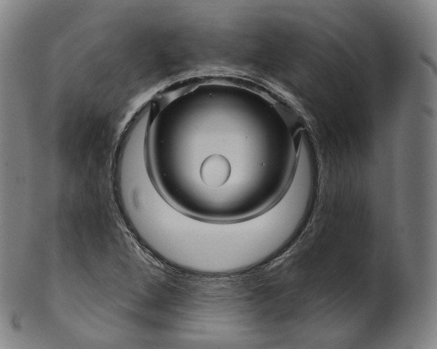 X0000099961264200806061557