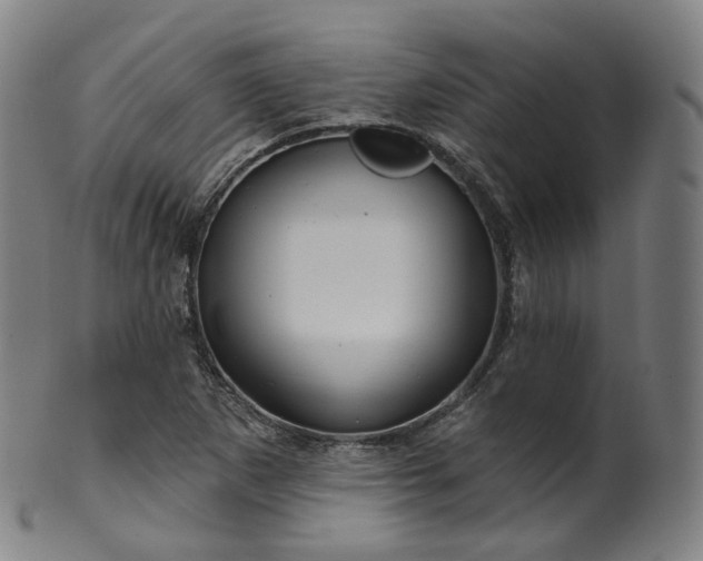 X0000099961265200806061557