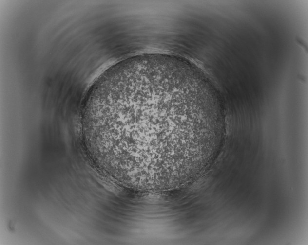 X0000099961266200806061557