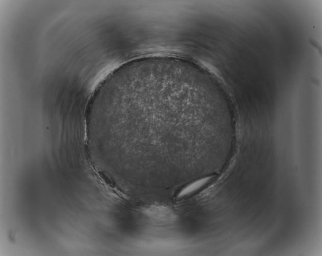 X0000099961267200806061557