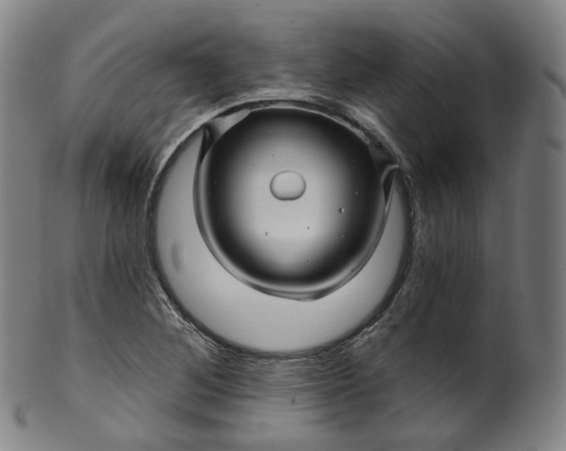 X0000099961268200806061557