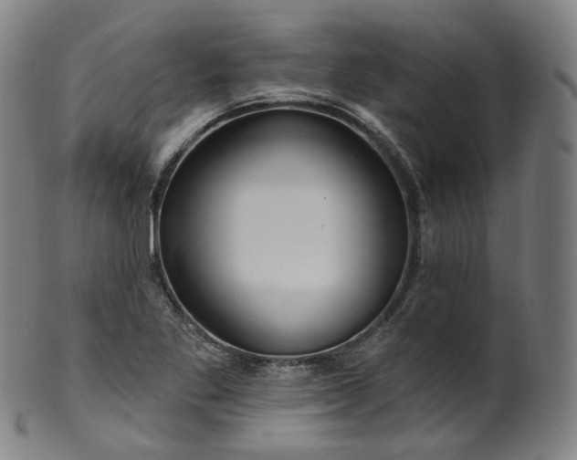 X0000099961269200806061557