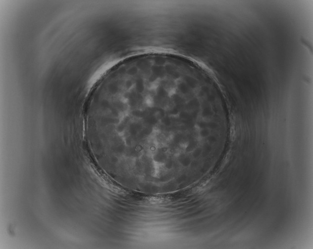 X0000099961271200806061557