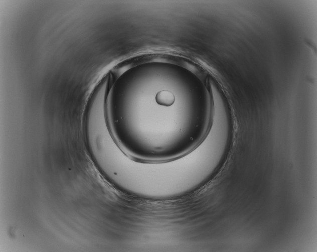 X0000099961272200806061557