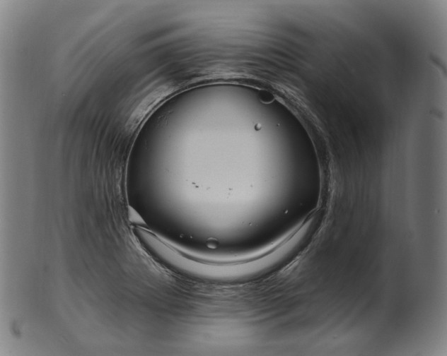 X0000099961273200806061557